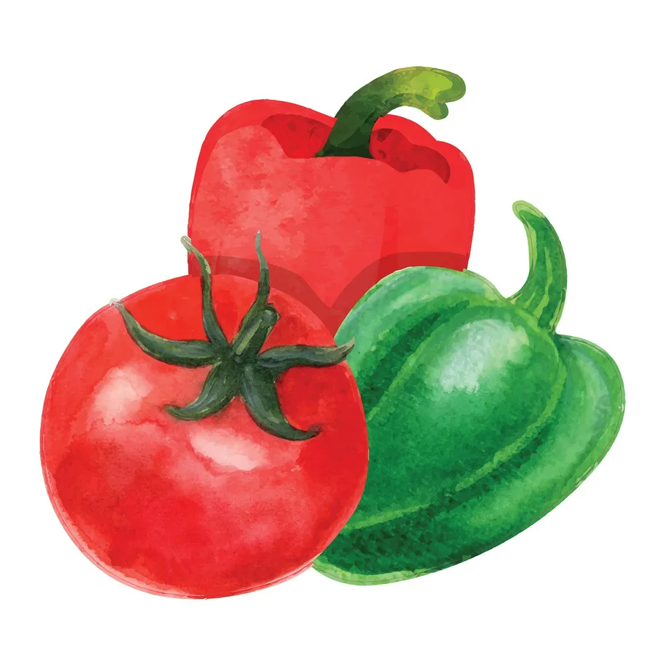 Sticker STEM, Pentru cei mici, set P5, 100 cm, sticker 5
