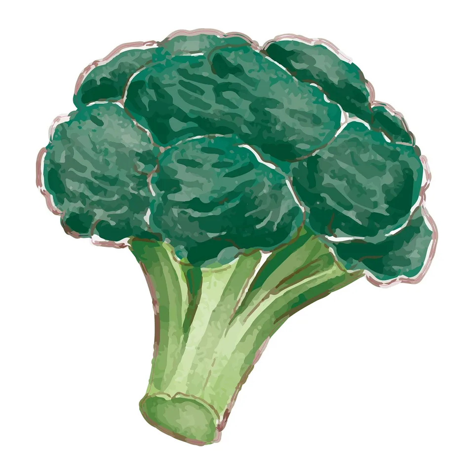 Sticker STEM, Pentru cei mici, set P5, 100 cm, sticker 8