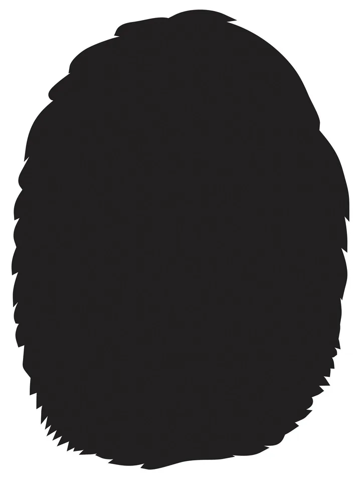 Sticker STEM, Sala de arte digitale, set B6, 150 cm, sticker 8