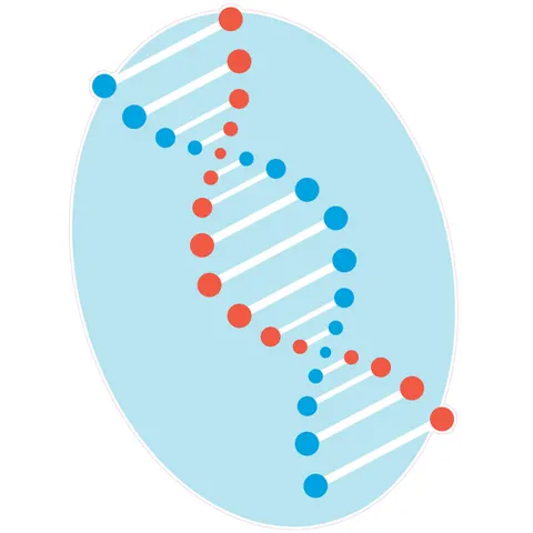 Sticker STEM, Științe Naturale – Biologie, set F1, 150 cm, sticker 2