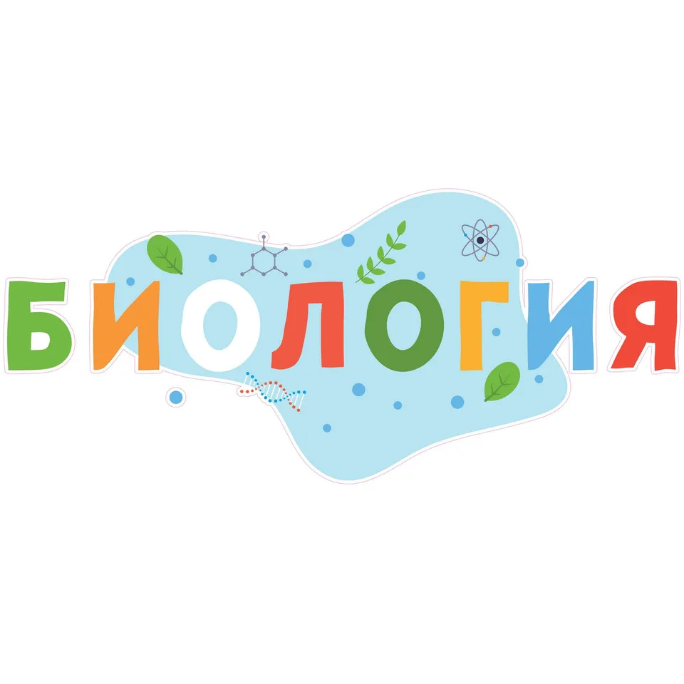 Sticker STEM, Științe Naturale - Biologie, Set F1, 150 cm, Sticker 5