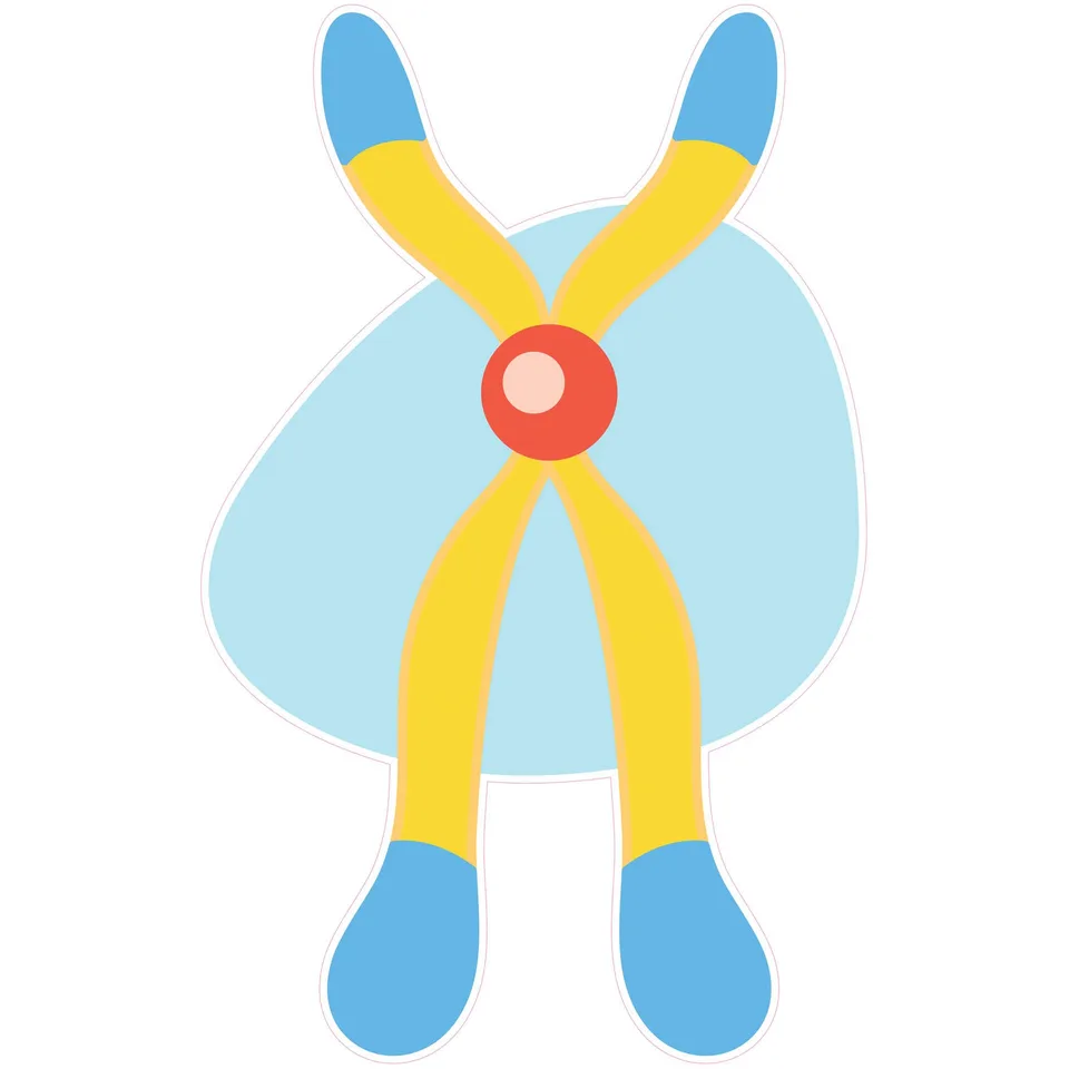 Sticker STEM, Științe naturii - Biologie, set F1, 150 cm, stickere 8