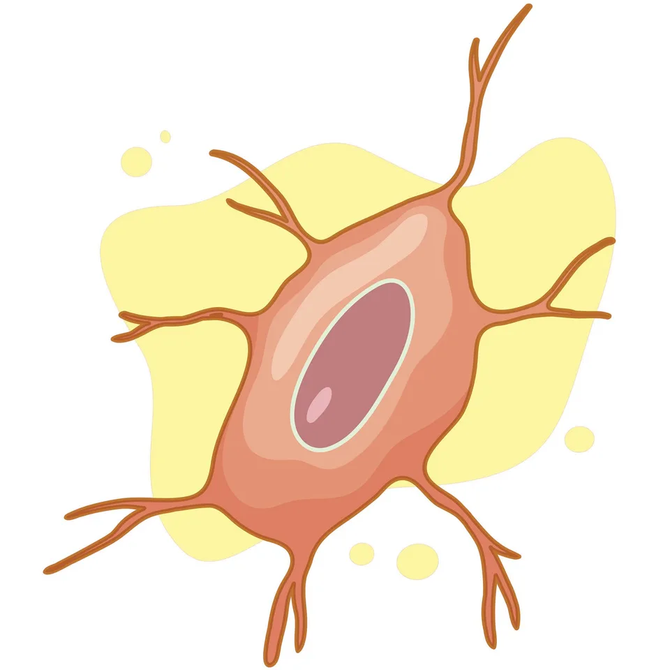 Autocolant STEM, Științe ale naturii - Biologie, set F2, 150 cm, autocolant 6