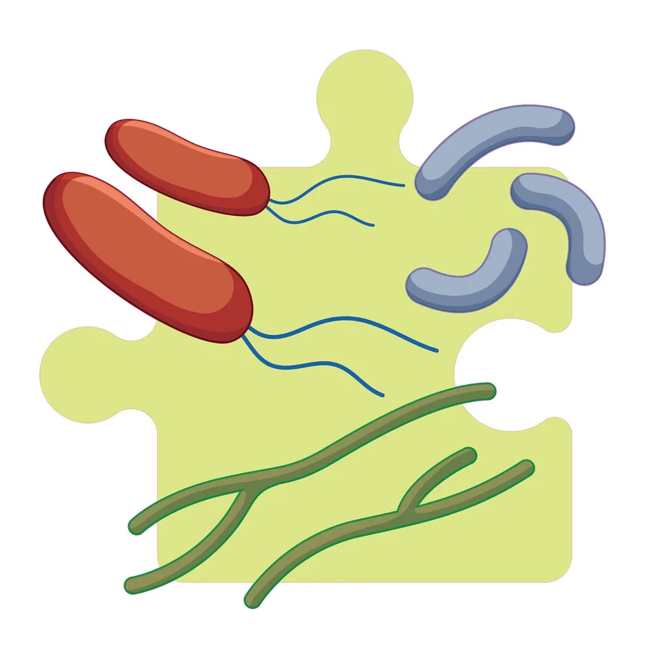Autocolant STEM, Științe ale naturii - Biologie, set F3, 150 cm, autocolant 5