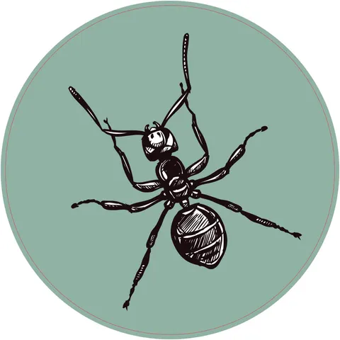 Autocolant STEM, Științe ale naturii - Biologie, set F6, 150 cm, autocolant 2