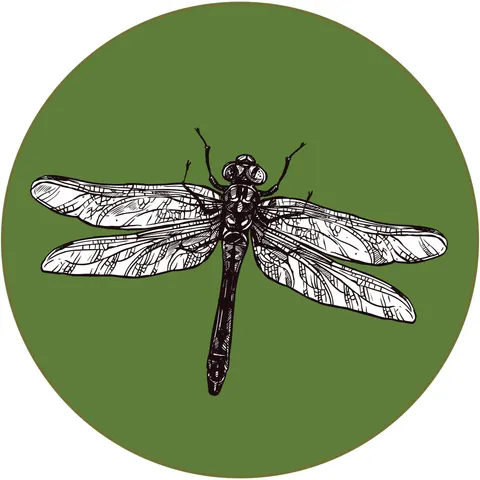 Autocolant STEM, Științe ale naturii - Biologie, set F6, 150 cm, autocolant 7