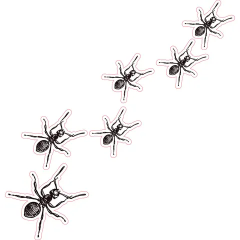 Autocolant STEM, Științe ale naturii - Biologie, set F6, 150 cm, autocolant 10
