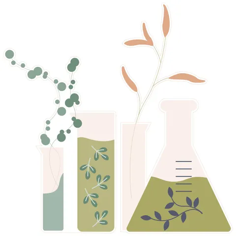Autocolant STEM, Științe ale naturii - Biologie, set F10, 150 cm, autocolant 4