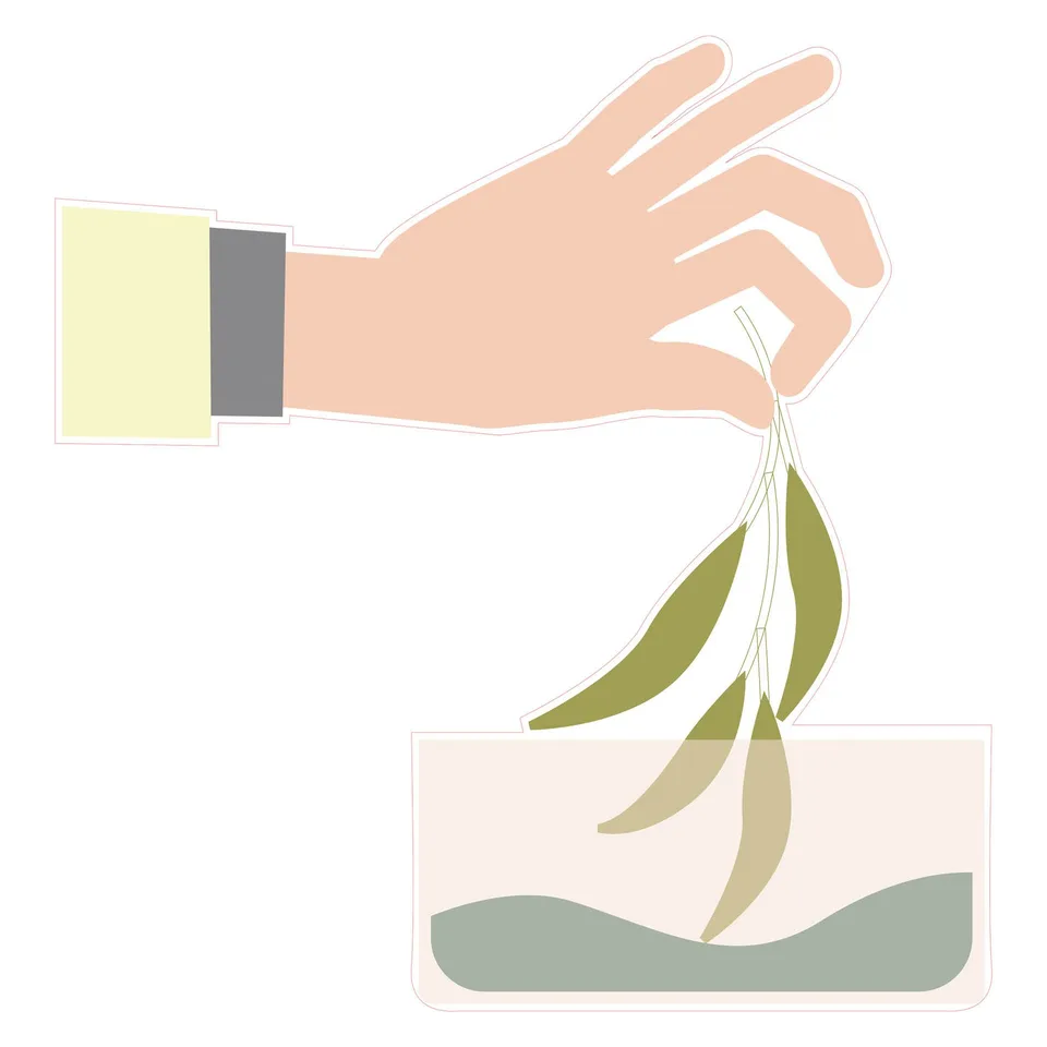 Autocolant STEM, Științe ale naturii - Biologie, set F10, 150 cm, autocolant 7
