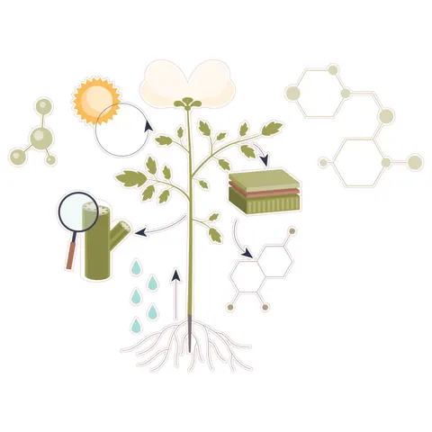 Autocolant STEM, Științe ale naturii - Biologie, set F10, 150 cm, autocolant 10