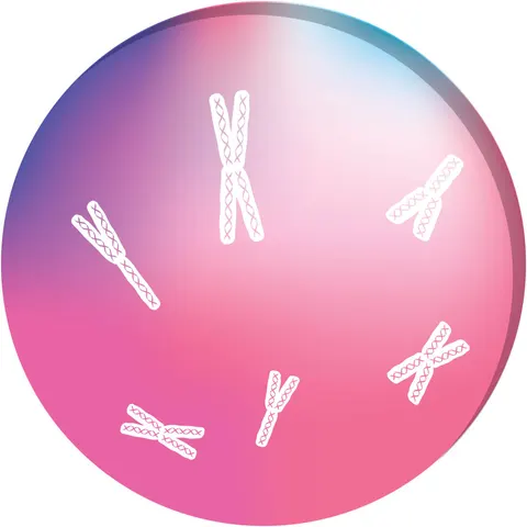 Sticker STEM, Științe ale naturii – Chimie, set H7, 150 cm, sticker 8