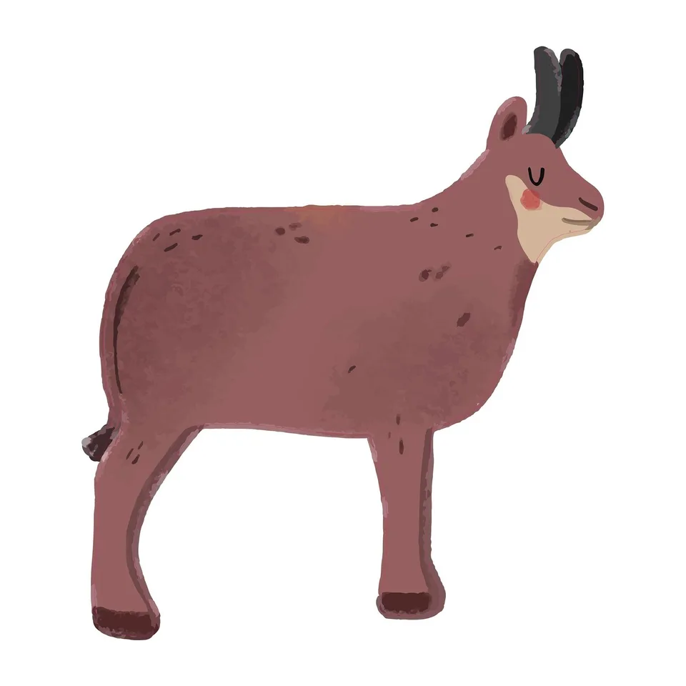 Sticker STEM, Pentru cei mici, set P2, 150 cm, sticker 6