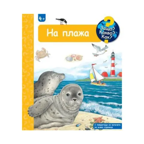 DE CE CE CUM - LA PLAJĂ