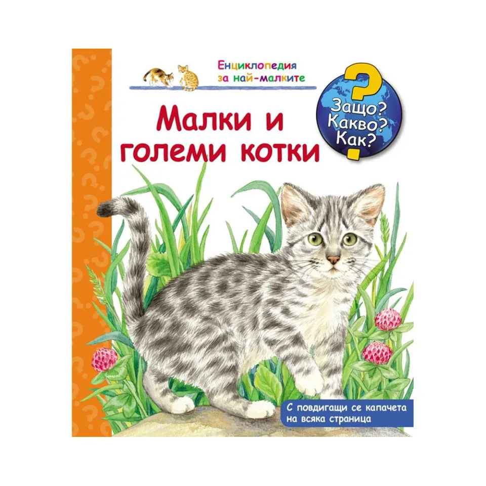 WHY WHAT HOW - PISICI MICI ȘI MARI