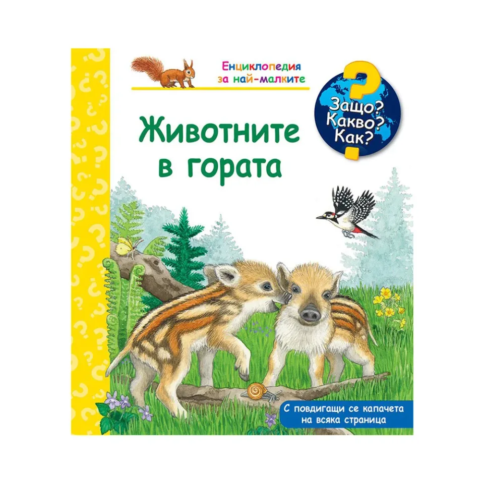 DE CE CE CUM - ANIMALE DIN PĂDURE