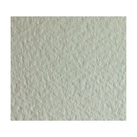 FABRIANO TINTORETTO NEVE CARD 250 G 72/101