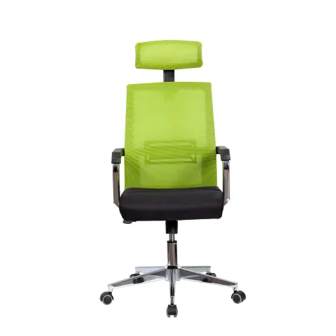 RFG Scaun directorial Roma HB, material textil și plasă, șezut negru, spătar verde deschis
