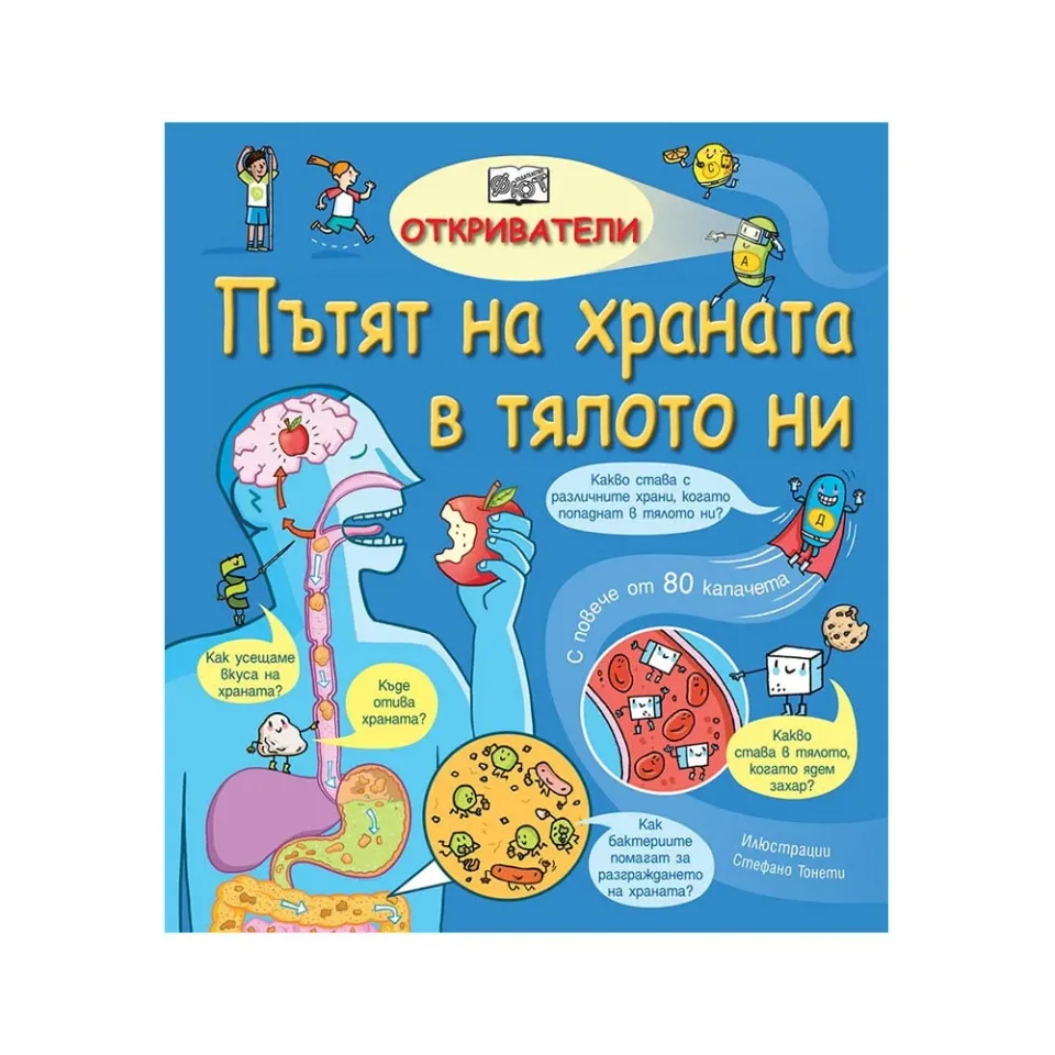 Călătoria alimentelor prin corpul nostru